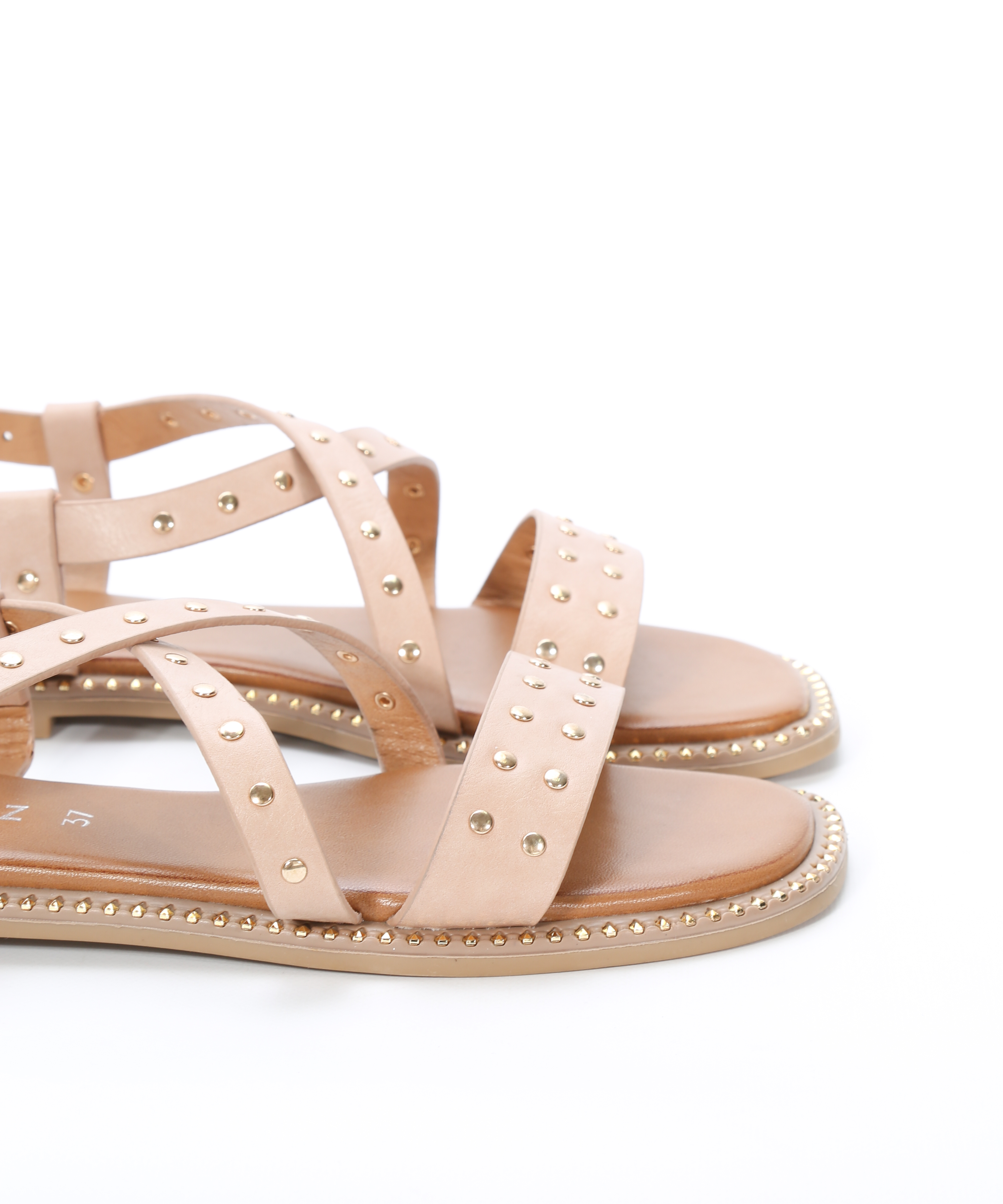 Sand&aacute;lia plana tachas image number null